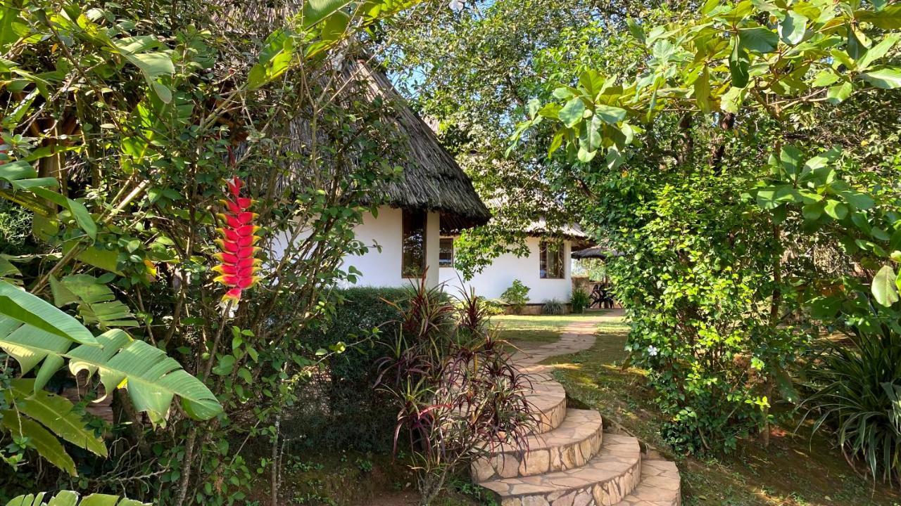 Banda Lodge Masaka Eksteriør bilde