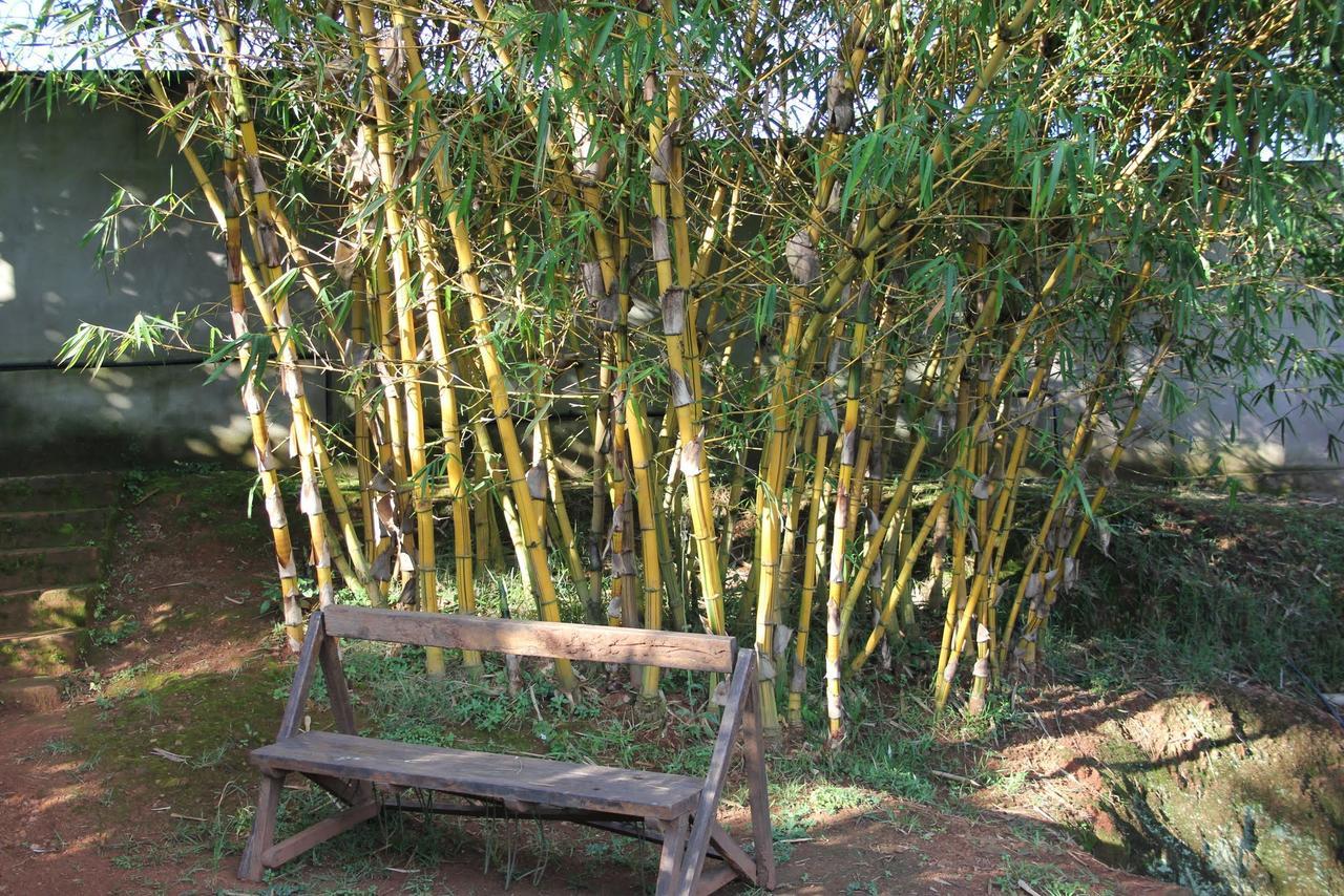 Banda Lodge Masaka Eksteriør bilde